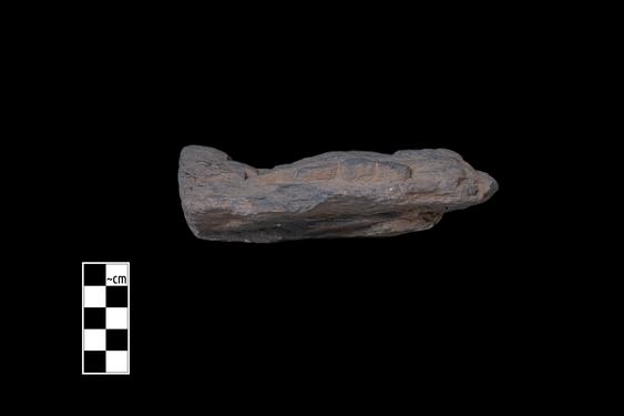 Image of Last Existence: Visit of the Ascetics