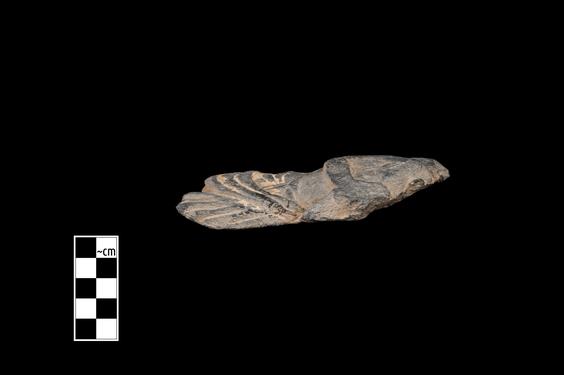 Image of Male devotee