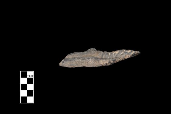 Image of Male devotee