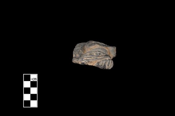 Image of Male devotee