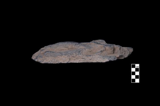 Image of Male devotees