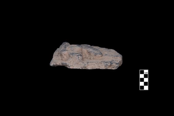 Image of Male devotees