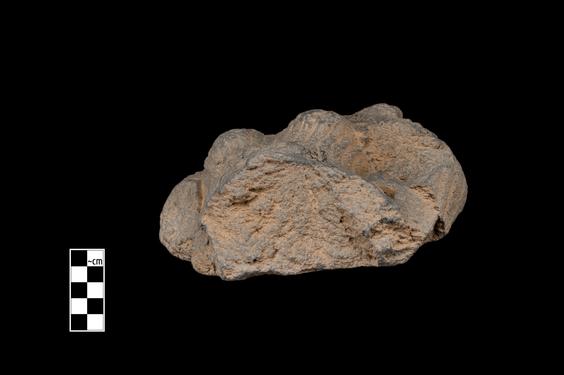 Image of Female figure