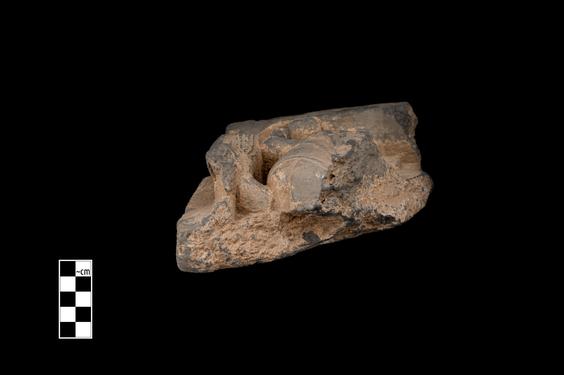 Image of Last Existence: ...