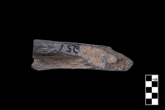 Image of Base with feet