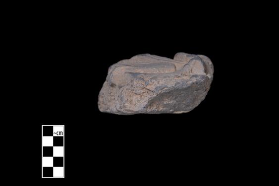 Image of Male devotee