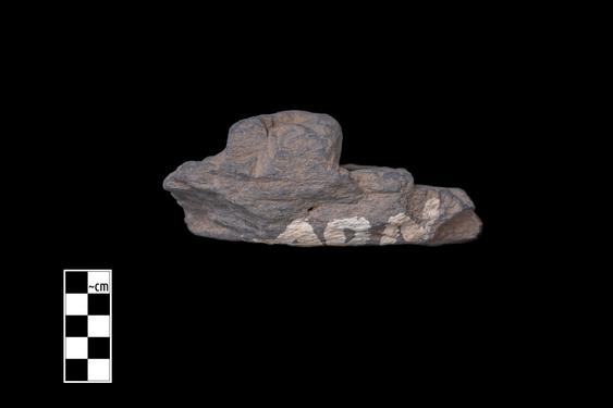 Image of Male devotee