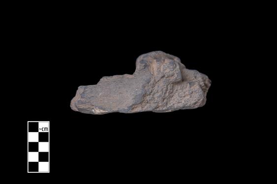 Image of Male devotee