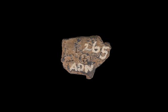 Image of Last Existence: Great Departure