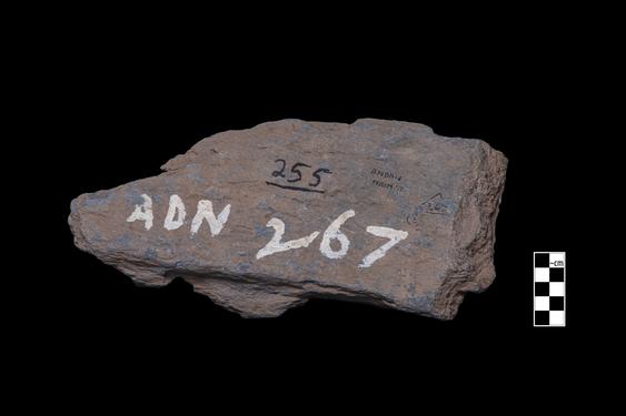 Image of Male devotee