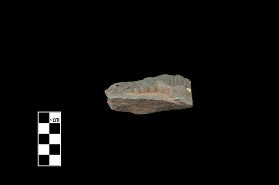 Image of Semi-column of the Gandharan-Persepolitan type