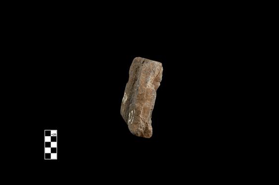 Image of Last Existence: Princely Life