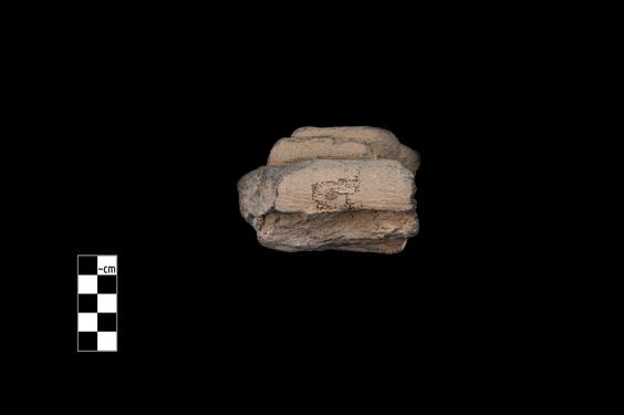 Image of Female figure