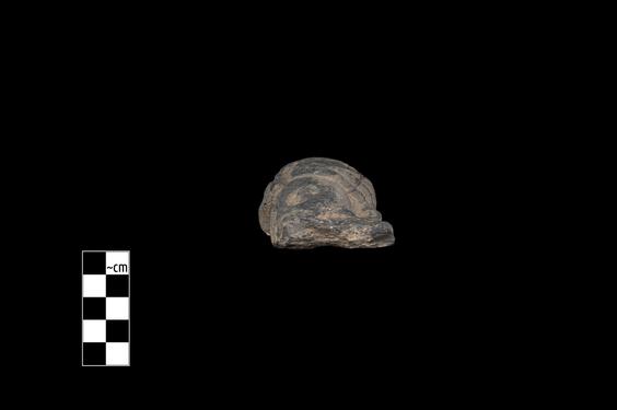 Image of Male figure