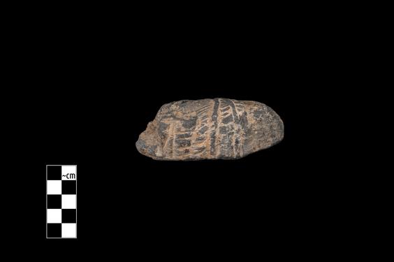 Image of Male figure