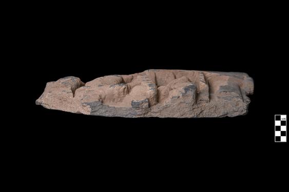 Image of Male devotees