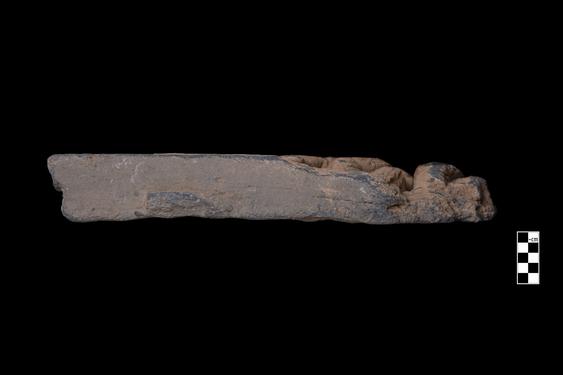 Image of Male devotees