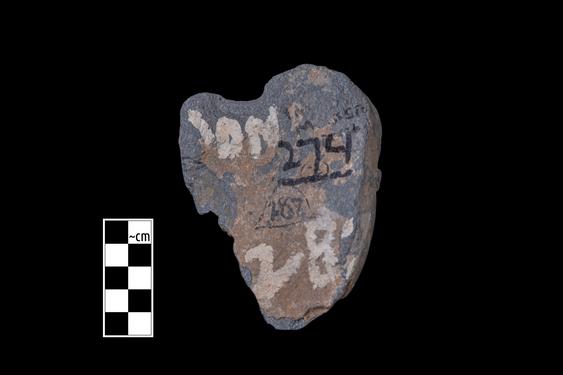 Image of Male devotee