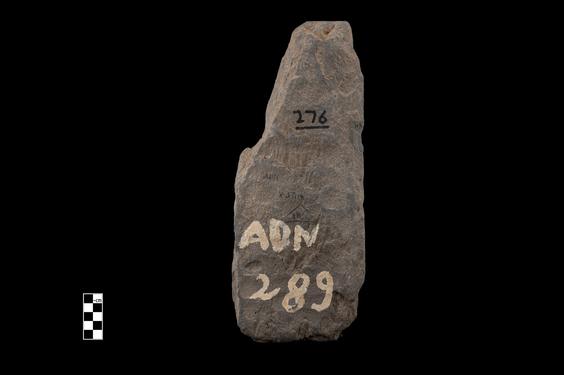 Image of Last Existence: Buddha's birth