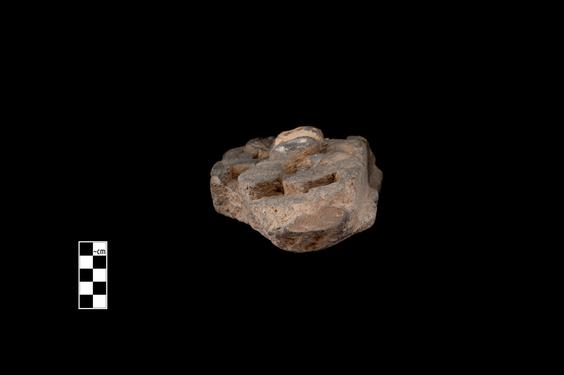 Image of Last Existence: Buddha's birth