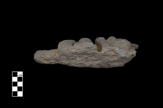 Image of Male figure