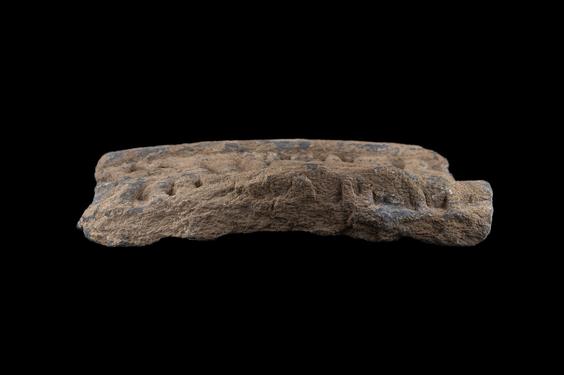 Image of Last Existence: Simultaneous Birth