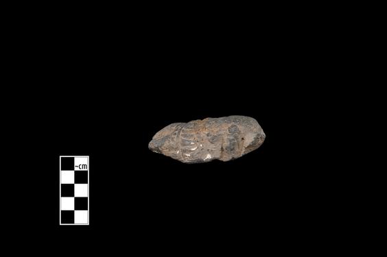 Image of Male figure