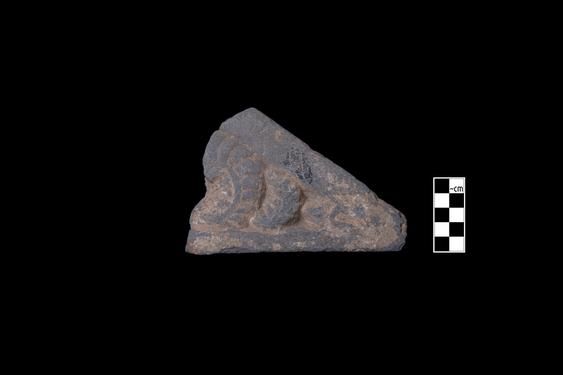 Image of Fantastic animal