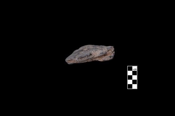 Image of Fantastic animal