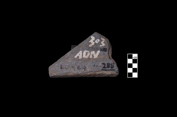 Image of Fantastic animal