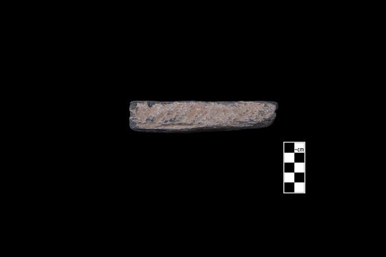 Image of Fantastic animal