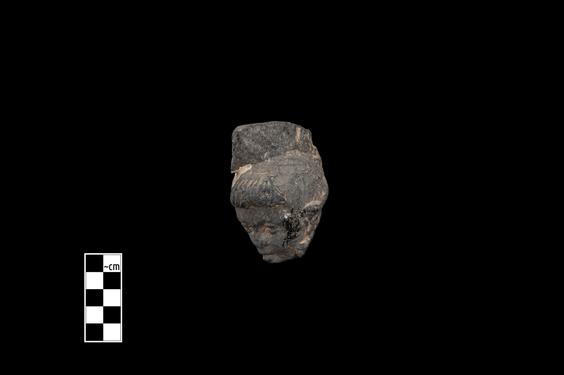 Image of Male figure