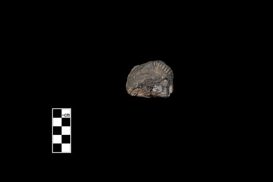 Image of Male figure