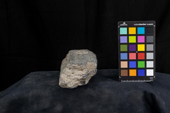 Image of Acanthus leaves