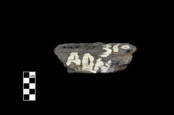 Image of Acanthus leaves