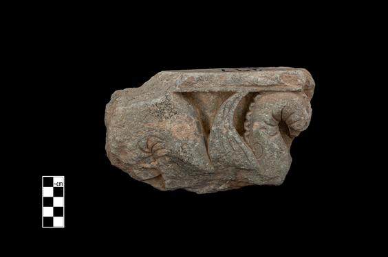 Image of Fantastic animal