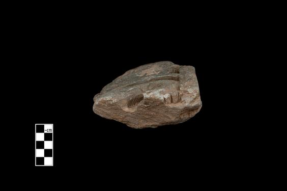 Image of Fantastic animal