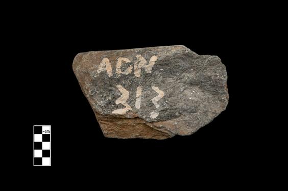 Image of Fantastic animal