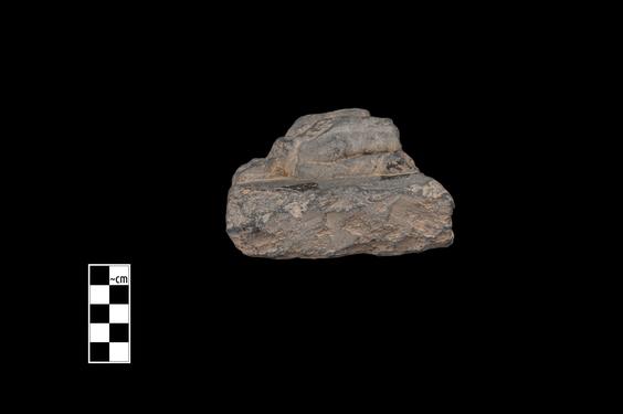 Image of Male figure