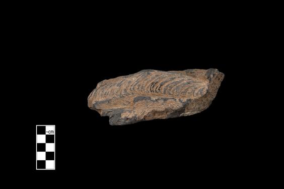 Image of Male figure