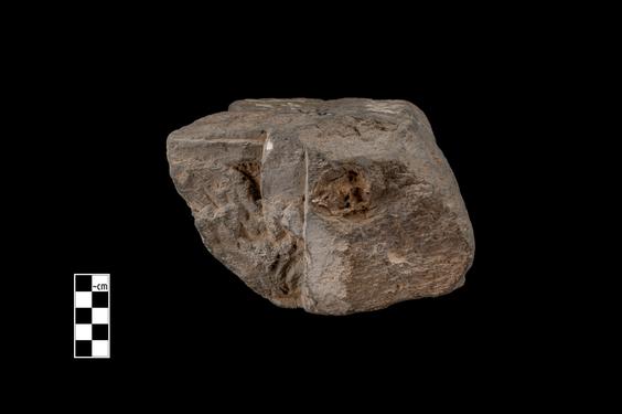 Image of Gandharan-Corinthian capital