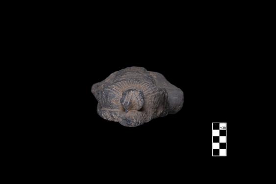 Image of Bodhisattva