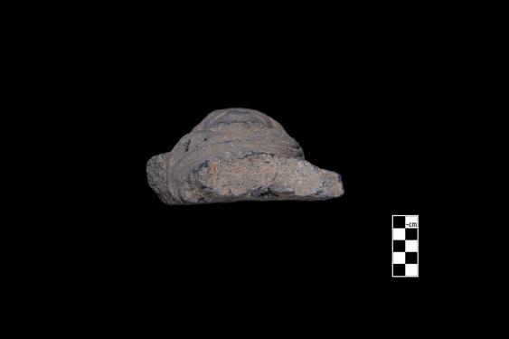 Image of Bodhisattva