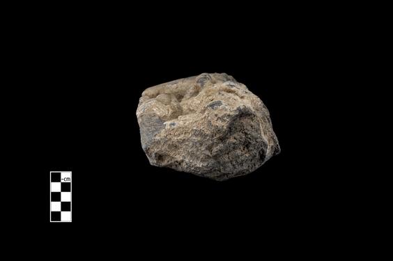 Image of Buddha and bodhisattva