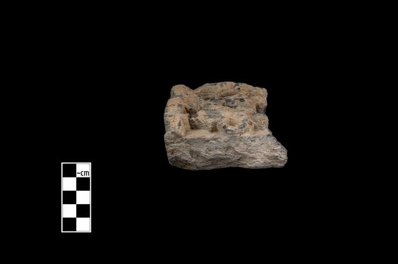 Image of Last Existence: Tug of War Competition