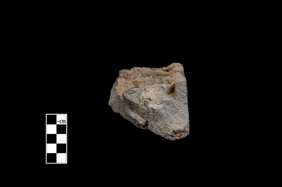 Image of Last Existence: Tug of War Competition