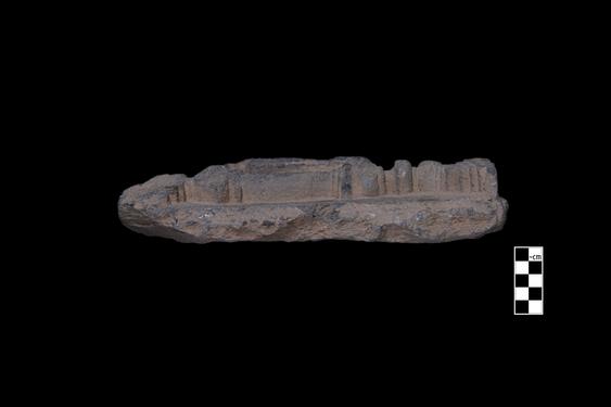 Image of Male devotee