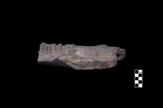 Image of Male devotee