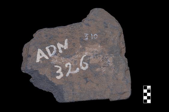 Image of Male devotee