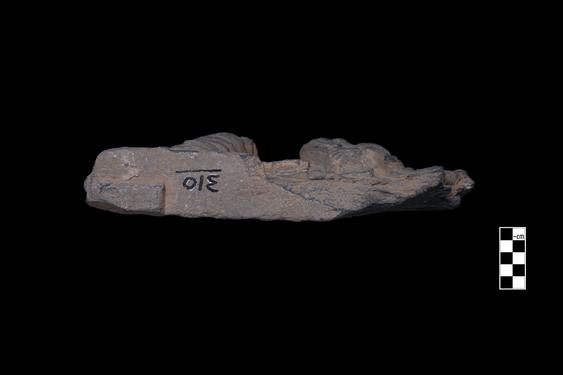 Image of Male devotee